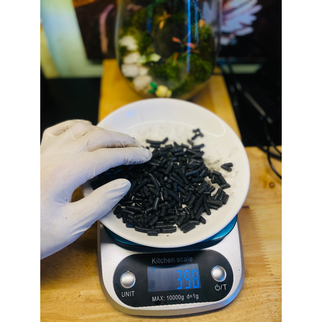 Than Hoạt Tính Lót Nền Khử Nấm Mốc Và Khử Khuẩn Bình Terrarium - 500gr