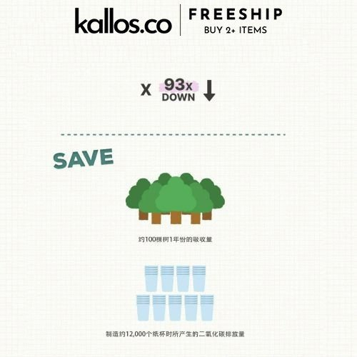 Bộ BLACKPINK Yourgreen Recycled Pouch, Tote Bag, DIY Card Wallet, Pen Pouch Kpop Merch - Kallos Vietnam