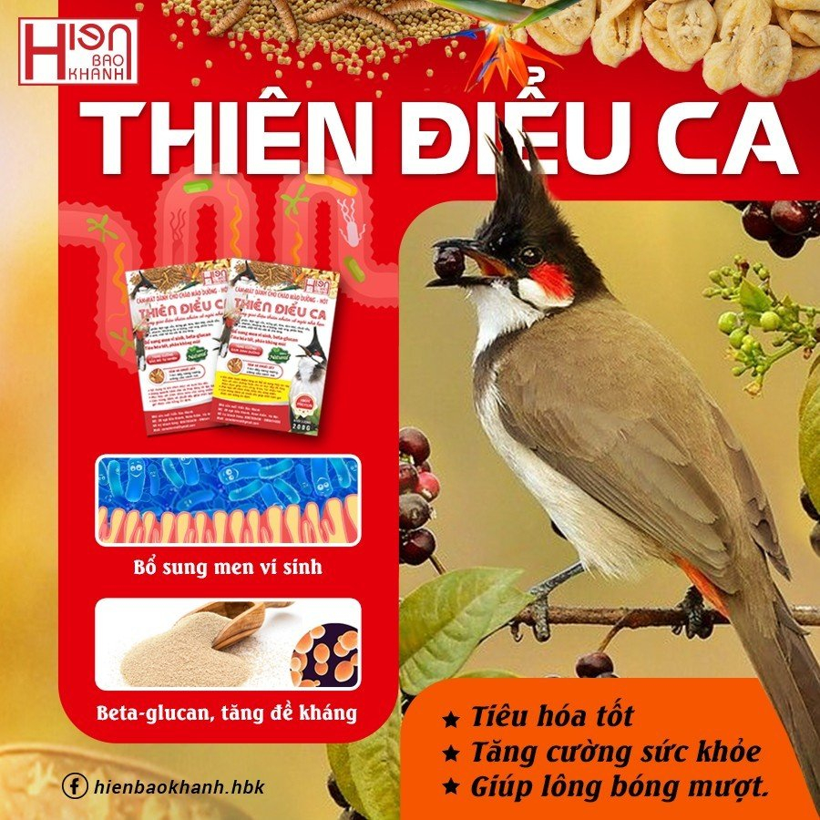 Cám chim Chào Mào Thiên Điểu Ca  200g