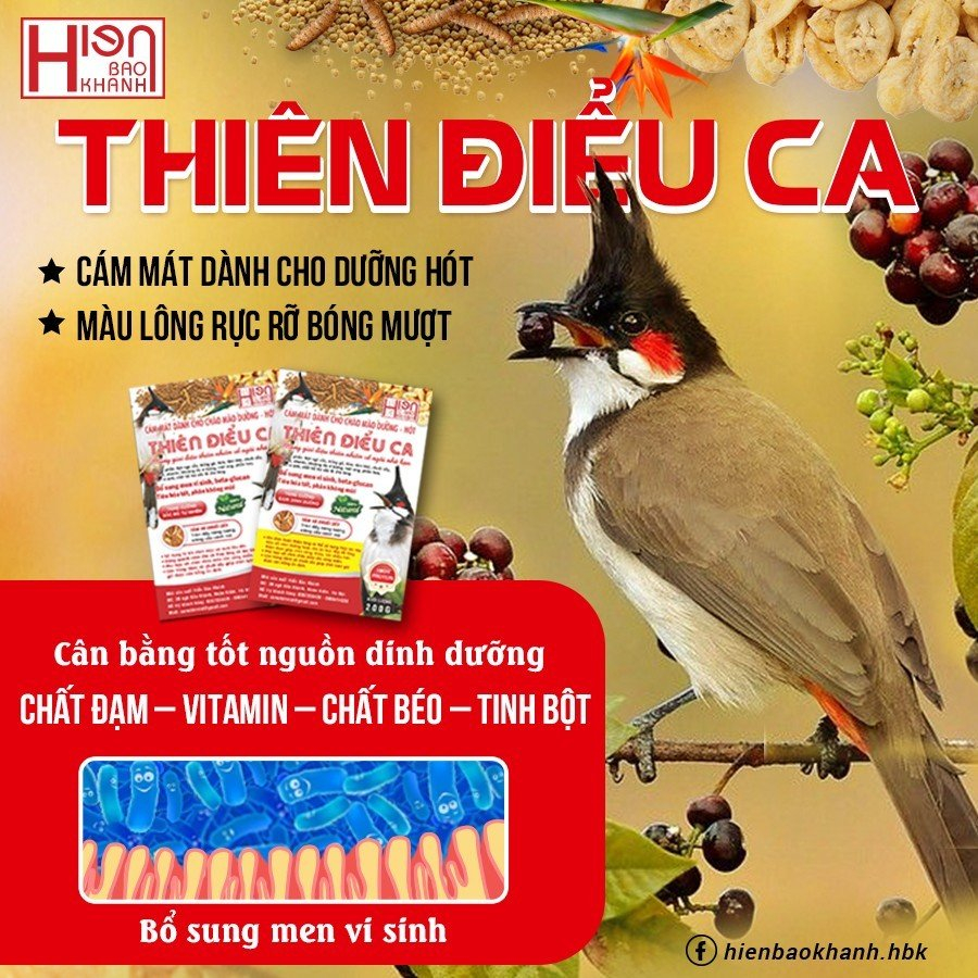 Cám chim Chào Mào Thiên Điểu Ca  200g