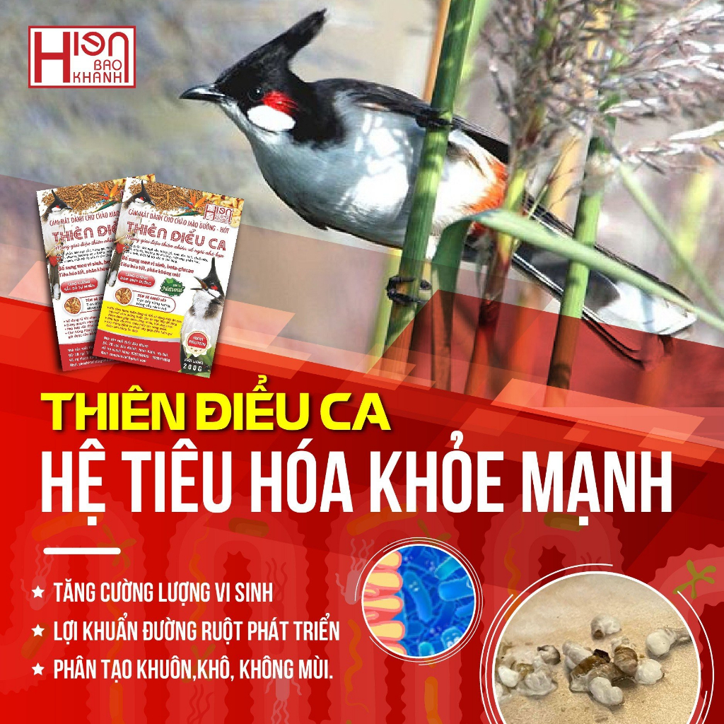 Cám chim Chào Mào Thiên Điểu Ca  200g