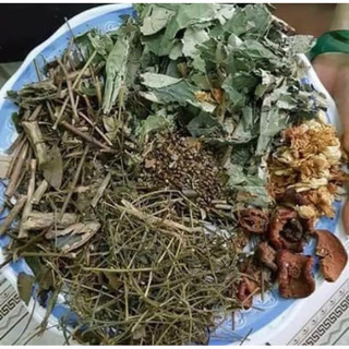 Lá nam 10 vị giảm cântiêu mỡ cực nhanh an toàn ,hiệu quả