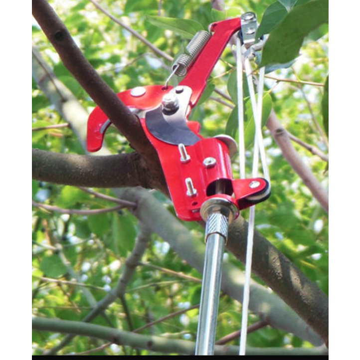 Sào Hái Trái Cây Trên Cao Có Thể Rút Gọn Loại dài 3m 5m tặng kèm vợt hái quả - xào rút gọn