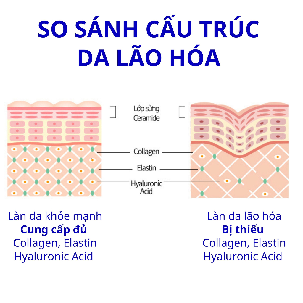 Combo 10 Gói BB LAB The Elastin Bổ Sung Elastin, Vitamin C Giảm Chạy Xệ, Rạn Da, Tăng Đàn Hồi 2g x 10 Gói