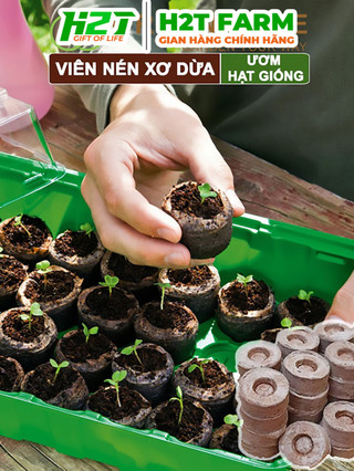 Combo 10 Viên nén xơ dừa, ươm hạt giống, trồng cây, ươm hạt, ươm cây giống, trồng thủy canh - H2T FARM