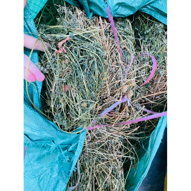 CÂY TẦM BÓP dây leo khô loại 1, mới, đẹp, vàng  1kg