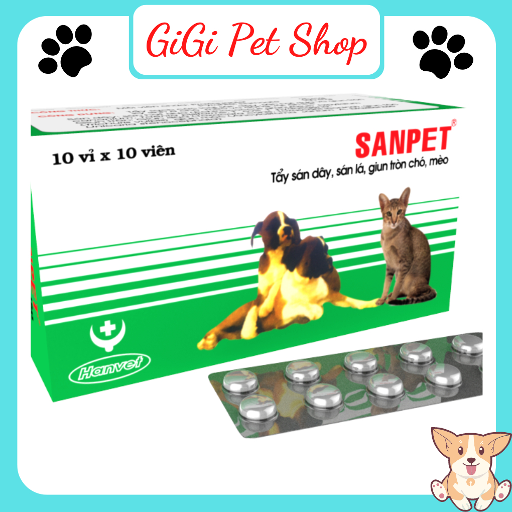 G....i...u..u....n Việt Nam cho thú cưng chó mèo - GiGi Pet Shop