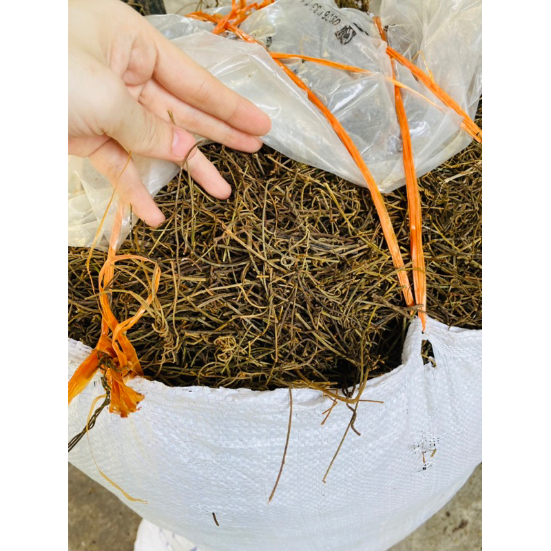 DÂY TƠ HỒNG XANH khô loại 1