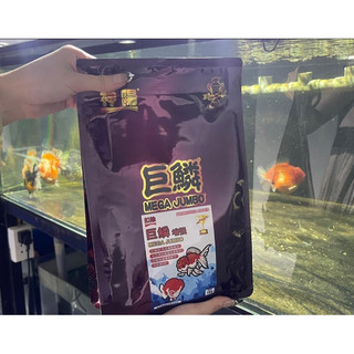 Cám Mega Jumbo Hikari 1kg