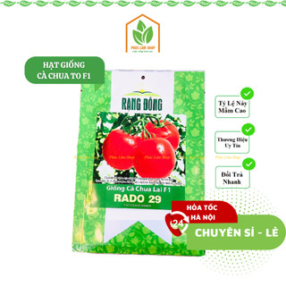 Hạt giống cà chua to F1 chính hãng Rạng Đông, cà chua lai màu đỏ, 120-140gram thịt- Hạt giống rau, củ, quả Phúc Lâm Shop