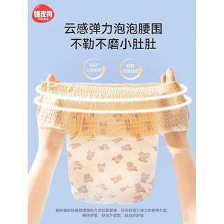 Quần bỉm dành cho thú cưng