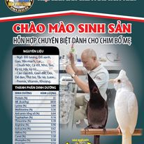 CÁM CHÀO  MÀO SINH SẢN LÃO ĐẠI