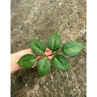 Lá Hoa hồng có gân cắm hoa sáp,hoa lụa