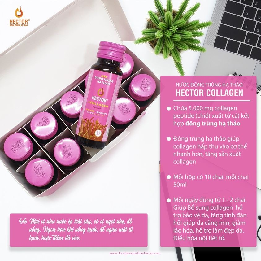 CHÍNH HÃNG 01 hộp Đông Trùng Hạ Thảo Hector Collagen 10 chai hộp