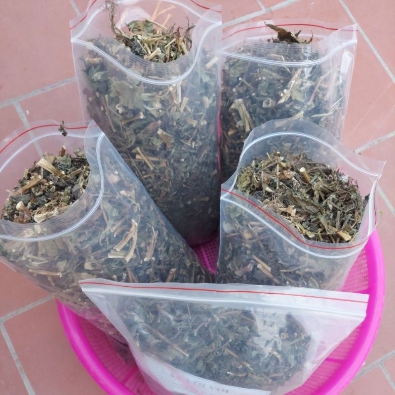 Cây vòi voi khô phơi tay thơm ngon - hỗ trợ ung thư, viêm da cơ địa