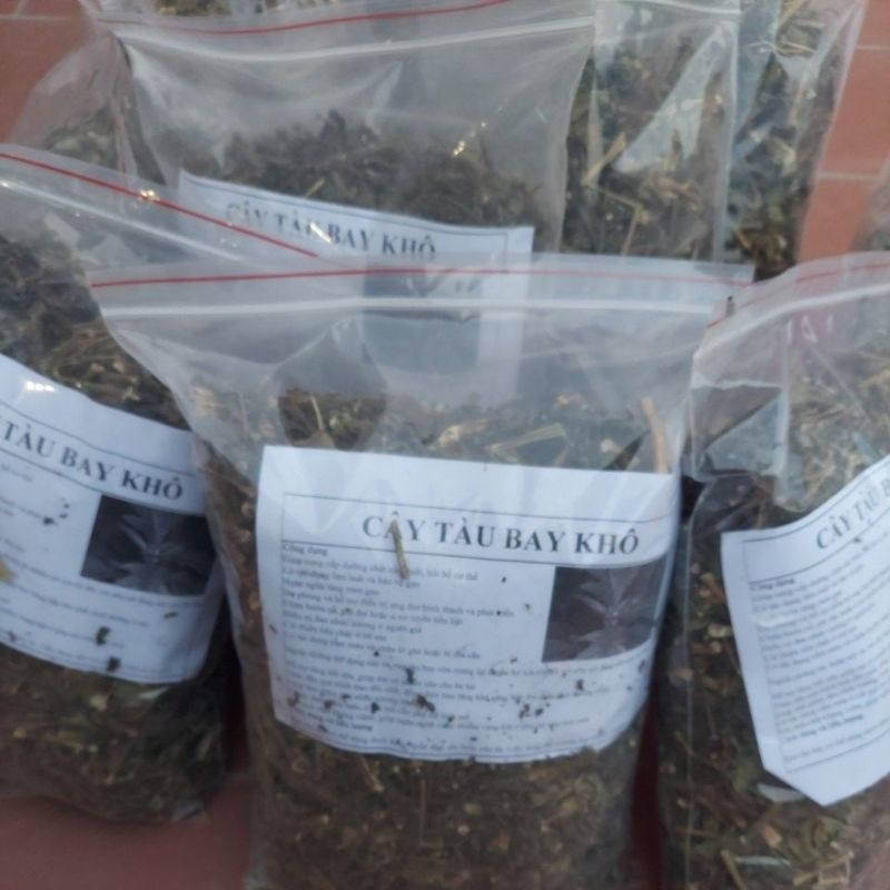 Cây tàu bay  khô dùng cho U, bướu cổ