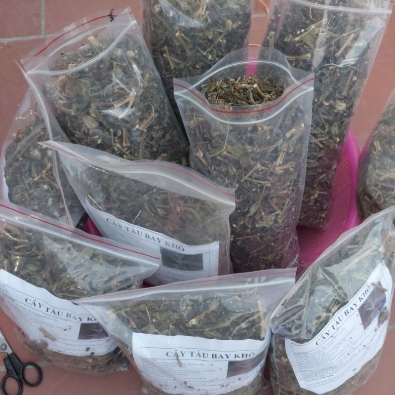 Cây tàu bay  khô dùng cho U, bướu cổ