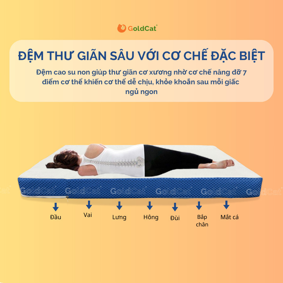 [Mã BMLT200 giảm đến 200K đơn 499K] Đệm Cao Su Non Cao Cấp GoldCat Độ Dày 5cm-10cm, Nâng Đỡ Vượt Trội, Thông Thoáng 10cm