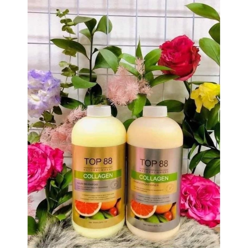 Cặp Dầu Gội Xả Hương Bưởi Ngăn Rụng và Kích Thích Mọc Tóc Top88 800ml  Oil Collagen Hair Salon Chính Hãng