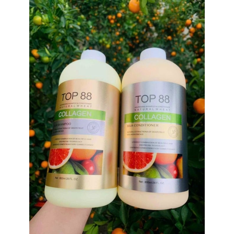 Cặp Dầu Gội Xả Hương Bưởi Ngăn Rụng và Kích Thích Mọc Tóc Top88 800ml  Oil Collagen Hair Salon Chính Hãng