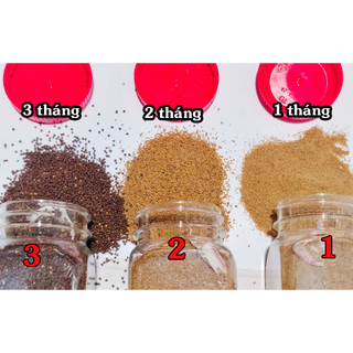 100g Cám cá betta phước phụ hồ - Số 2