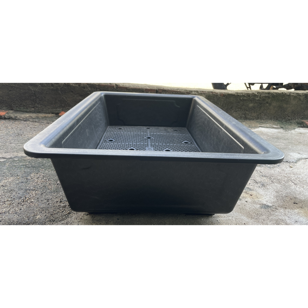 Bộ 5 cái khay trồng rau màu đen