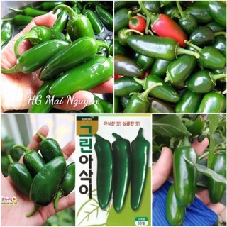 HẠT GIỐNG ỚT DƯA CHUỘT HÀN QUỐC