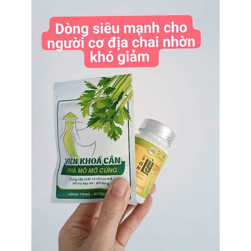 Giảm cân Sơn Lỳ Body Plus chuyên dùng cho cơ dịa chài lỳ .mơ rắn
