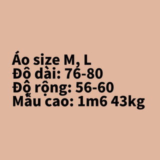 ÁO PHÔNG MỸ SECONDHAND (Size M, L)