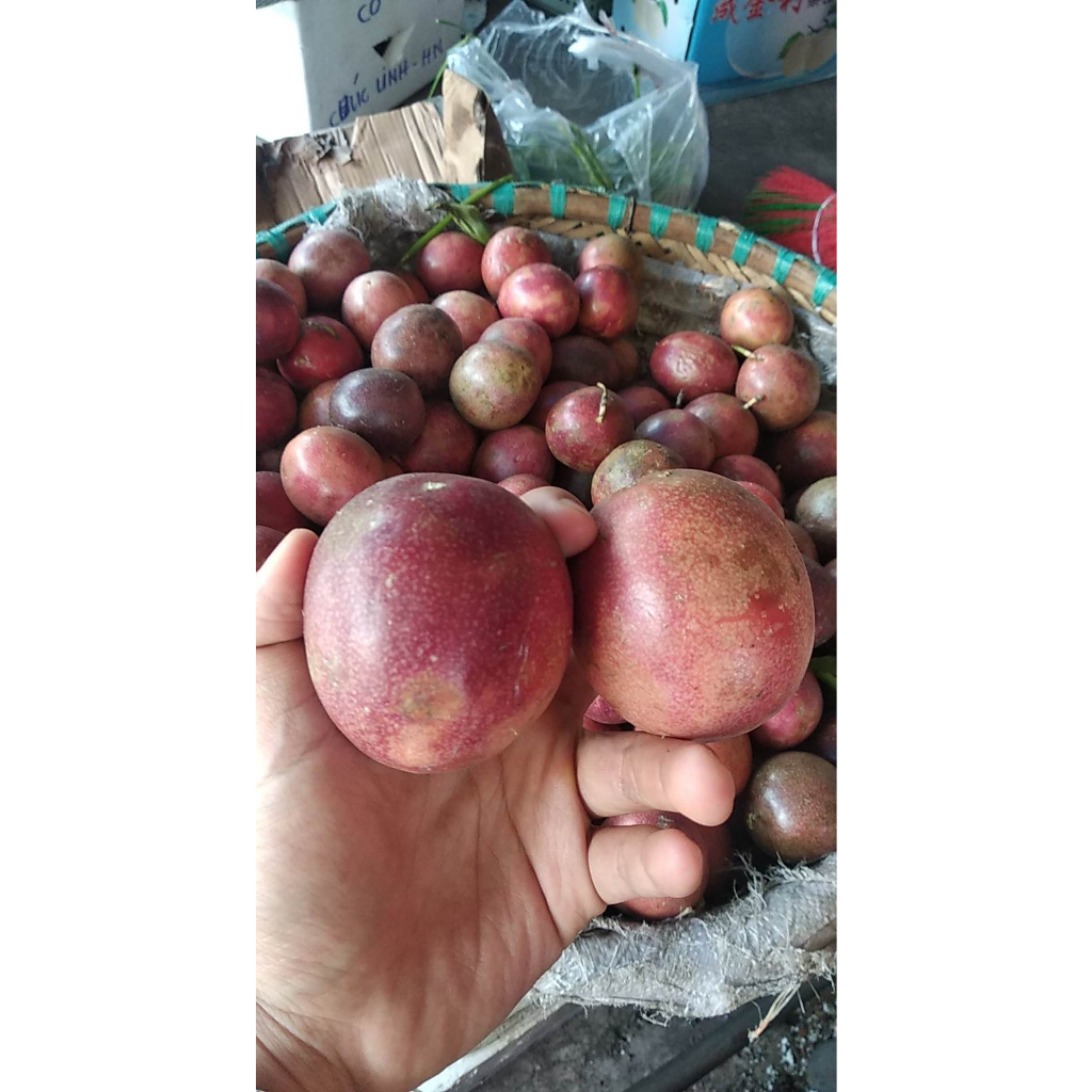 Quả chanh leo tươi chua ngọt nhiều nước 1kg