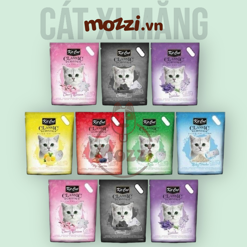 KitCat Cát vệ sinh xi măng cho mèo