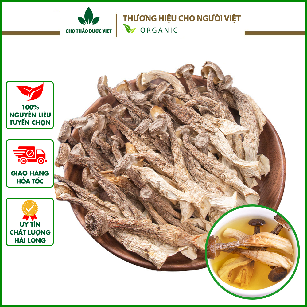 Nấm lộc nhung 500g (Nấm quý cao cấp, nấu canh bổi bổ sức khỏe) - Chợ Thảo Dược Việt