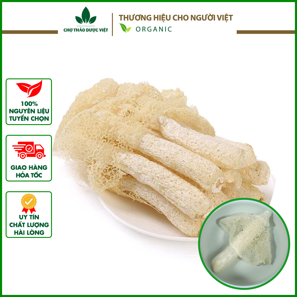 10g Nấm tâm trúc khô cao cấp ( Nấm trúc sanh, trúc sáng thơm ngon và bổ dưỡng) - Chợ Thảo Dược Việt
