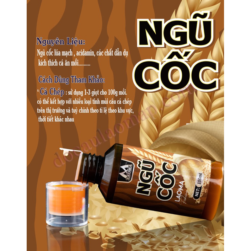 Bộ Tinh mùi Thất Thạch Ngư Laoma