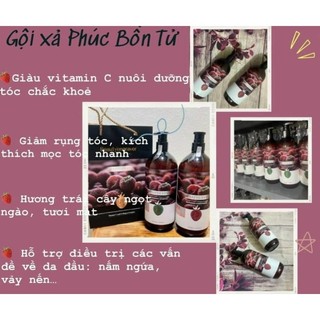 CẶP GỘI PHÚC BỒN TỬ
