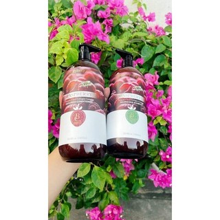 CẶP GỘI PHÚC BỒN TỬ