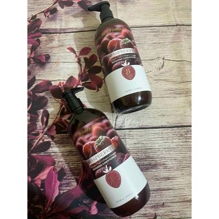 CẶP GỘI PHÚC BỒN TỬ