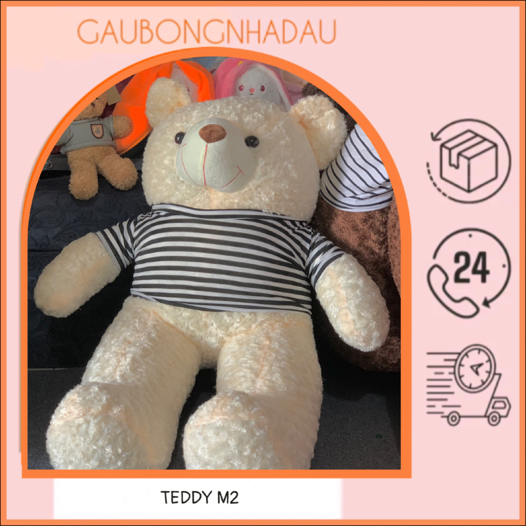 GẤU BÔNG TEDDY lông xoắn
