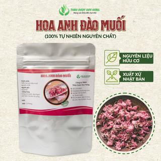 Hoa anh đào muối Nhật Bản làm Bánh mochi, Pha trà - Thảo Dược Duy Hưng