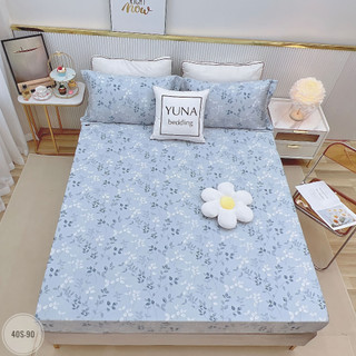 1.GA GỐI LỤA TENCEL 40S ( ẢNH SHOP TỰ CHỤP )