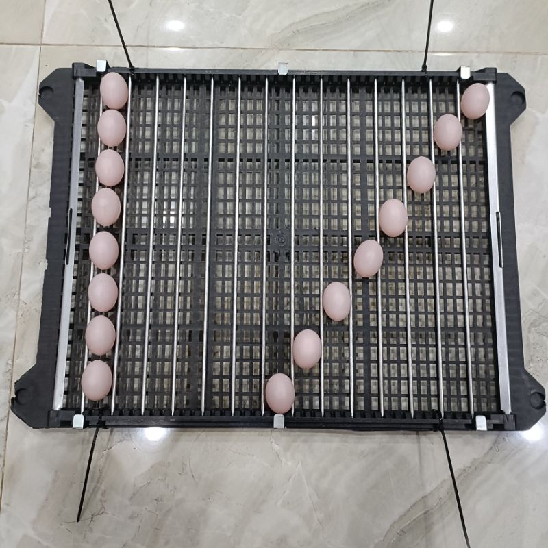 Khay đảo trứng tự động 220V 60-120 trứng
