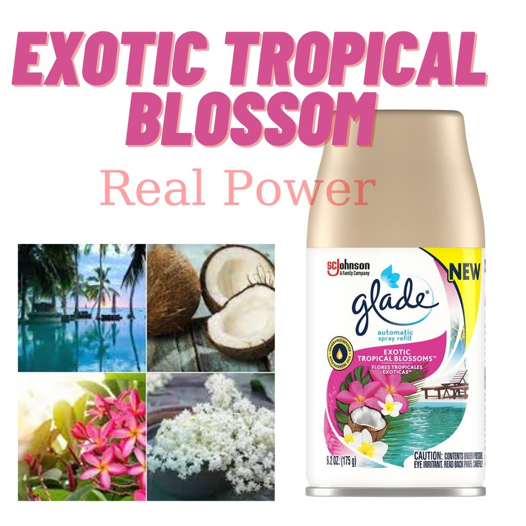 - Chai Xịt Phòng Thay Thế Vào Máy Xịt Phòng Tự Động Glade - 269ml/175g - Hàng chính hãng DKSH Việt Nam.