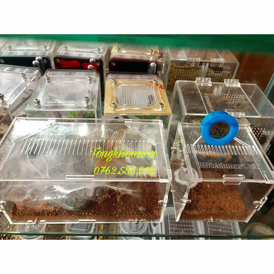 Hộp nuôi nhện, bọ cạp, rết,rắn kích thước 20-10-10cm/ tank mica