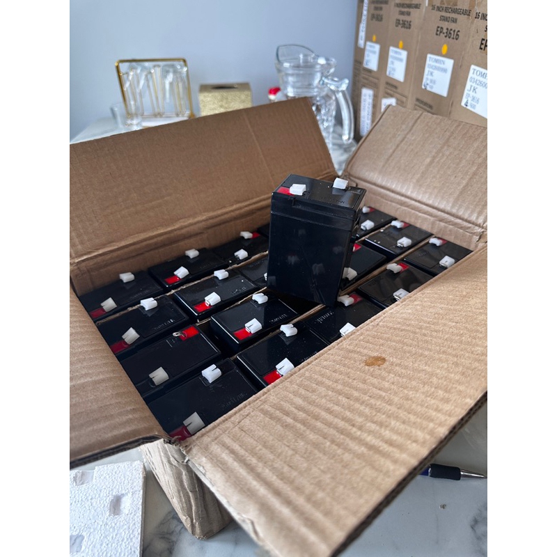 Ắc quy  6V4Ah, Acquy Khô dùng cho Cân điện tử, đèn sạc, quạt sạc, xe điện trẻ em, loa kéo...