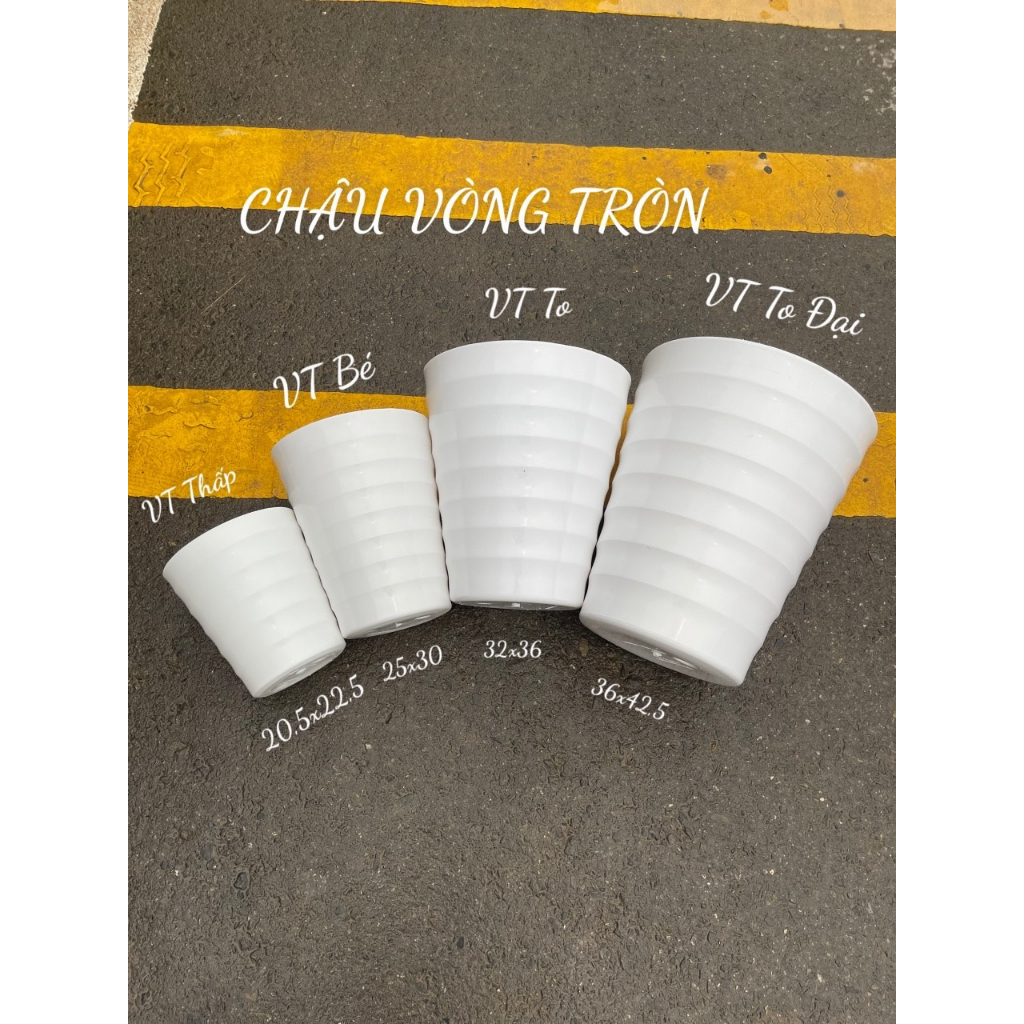 COMBO 05 Chậu nhựa ZOZO trồng cây hoa vòng tròn loại 1 dày dặn