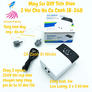 Máy Sủi Oxy Chạy Pin Sạc JEBO 9950 (Hàng Công Ty) Dùng Đc Khi Cúp Điện
