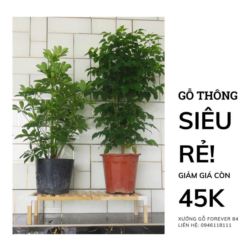Kệ Để Chậu Cây, Chậu Hoa 1 Tầng - Kệ Đa Năng 60x25x15CM - HOÀN TIỀN 100% NÊU KHÔNG HÀI LÒNG