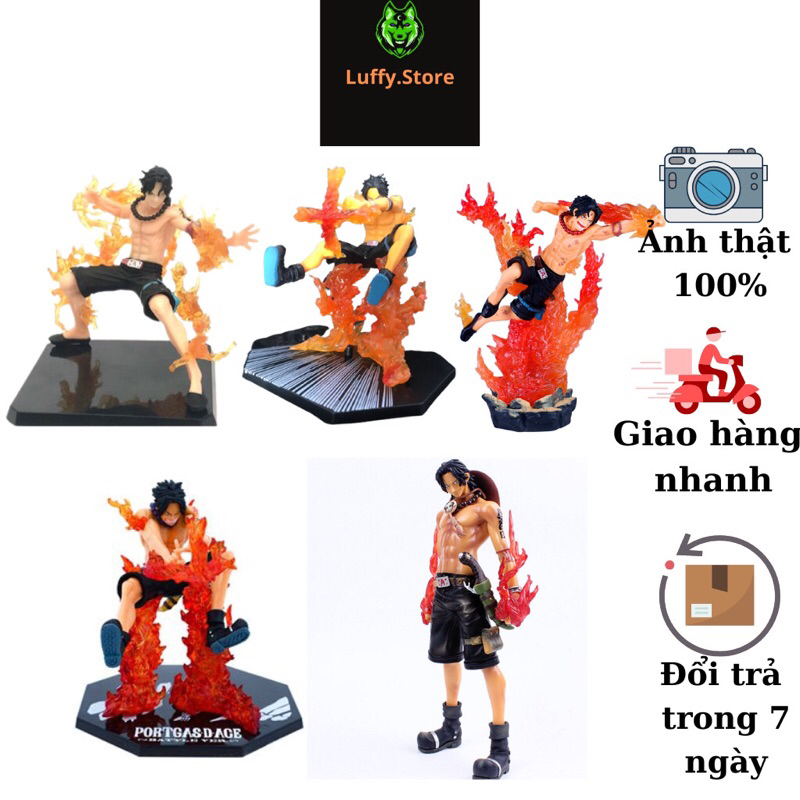 Mô hình One Piece Luffy Store ace băng râu trắng 2 đầu có đế cao 16cm, full box, figure nhân vật anime đảo hải tặc