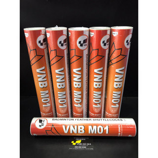 Ống cầu lông VNB M01 (12 quả/ ống)