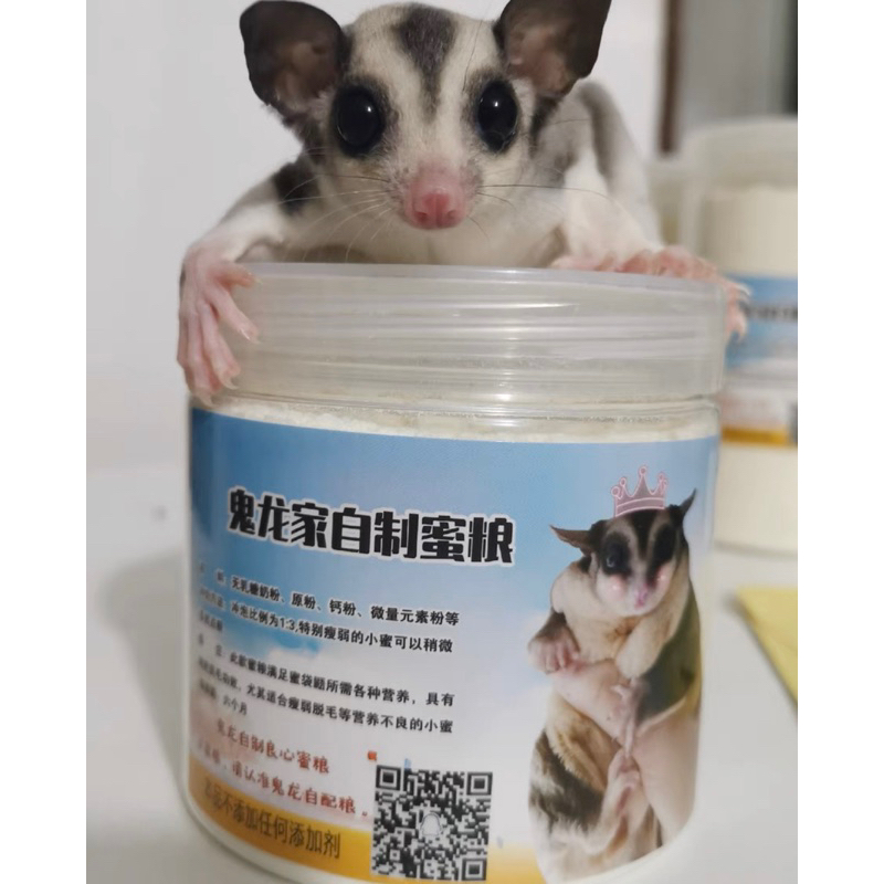 Bột sữa béo pha chung đồ ăn cho Sóc Bay Úc-Sóc Bông-Đất